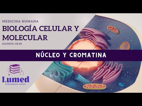 Biología Celular y Molecular -  Núcleo y Cromatina