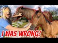 HOW WELL DO I REALLY KNOW MY HORSES? BLINDFOLDED CHALLENGE!
