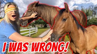 HOW WELL DO I REALLY KNOW MY HORSES? BLINDFOLDED CHALLENGE!