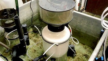 CRAS Presents... Reef Dynamics HIR750 Hybrid Protein Skimmer