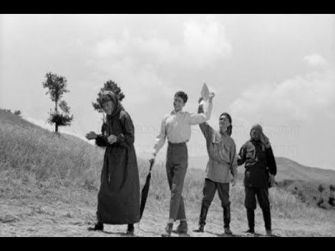 მე, ბებია, ილიკო და ილარიონი / Me, bebia, iliko da ilarioni