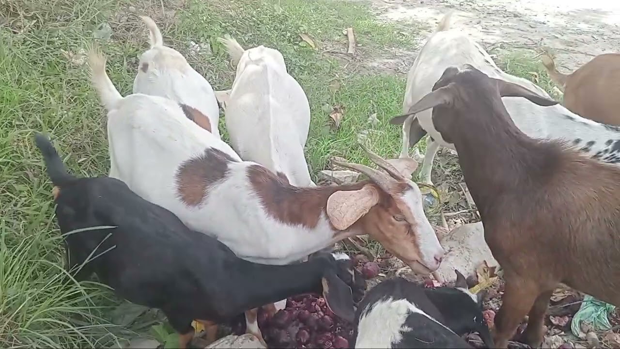 11 de janeiro de 2026