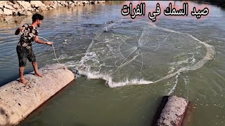 صيد السمك بالسليه في نهر الفرات