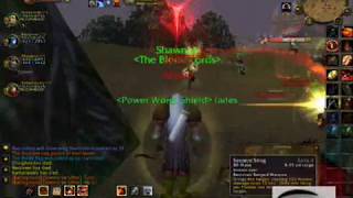 level 29 night elf hunter Warsong Gultch