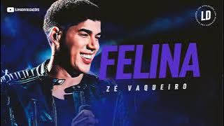 FELINA - ZÉ VAQUEIRO