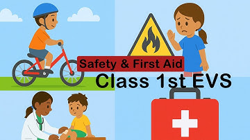 Safety & First Aid | Class 1 EVS | NCERT Animated Lesson