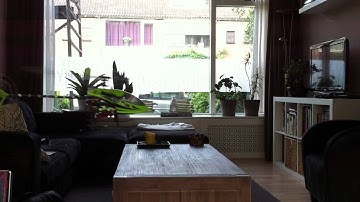 ESky Honeybee FP V2 Hover with Xtreme wooden blades