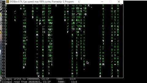 Assembly the matrix raining code