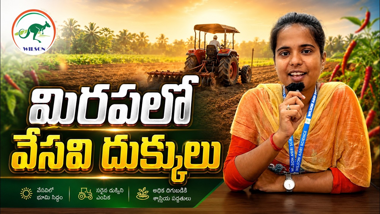 మిరపలో వేసవి దుక్కులు (Mirchi  Summer Ploughing) #syngenta @RaviHybridSeeds​​@BASFNunhems_India