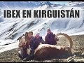 IBEX en Kirguistán - Febrero de 2017 | Hunting Videos
