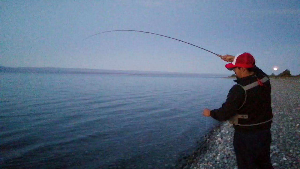 Pesca Con Mosca Trevelin Video Pesca Con Mosca Trevelin Video
