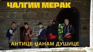 Video thumbnail of "Antice dzanam dusice - Calgii Merak / Антице џанам душице - Чалгии Мерак"