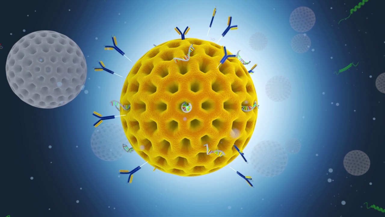 SiSaf Transforming Drug Delivery YouTube