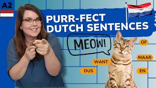 5 Beginner Friendly Conjunctions To Boost Your Dutch