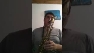 Señales callejeros tutorial para Saxo