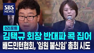 김택규 회장 반대파 콕 집어…배드민턴협회, '임원 불신임' 총회 시도 / SBS / #D리포트