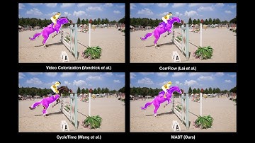 MAST: A Memory-Augmented Self-supervised Tracker