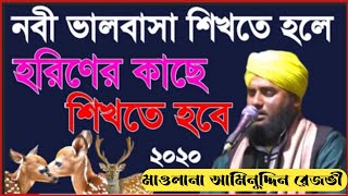 এ কেমন ওয়াজ নবীজির সাথে হরিণের কথা || বক্তা- মাওলানা আমিনুদ্দিন রেজভী সাহেব aminuddin,mp3