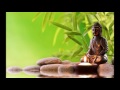 Meditation Music. Li Xiang-ting - Sleeping Lotus