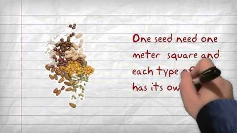 The Important of Linear Program