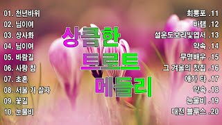 상큼한 트로트 메들리 🎶 트로트 신곡 메들리 PLAYLIST ✅ (김희재, 장민호,양지은, 홍지윤,정동원,영탁,이찬원,김태연,김의영,임영웅,별사랑,은가은)