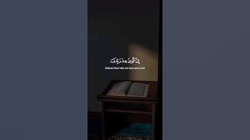 اكتب شيء تؤجر عليه 😴🤎 قران كريم | ياسر الدوسري