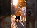 どっちがお散歩されてるの?😂 He matches his steps to hers. My heart is melting. ❤️