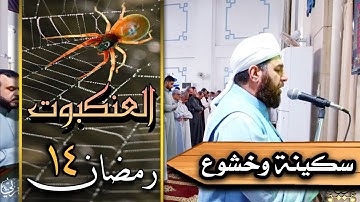 صلاة التراويح ليلة ١٤ رمضان ١٤٤٣ هجري ماتيسر من سورة العنكبوت والروم الشيخ علي الحربي