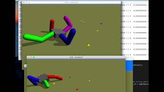 CS 206 Evolutionary Robotics, Quadraped project