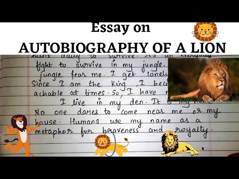 essay autobiography of lion