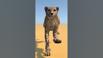 Animated Cheetah 3D Model - Run Cycle: | PROmax3D
