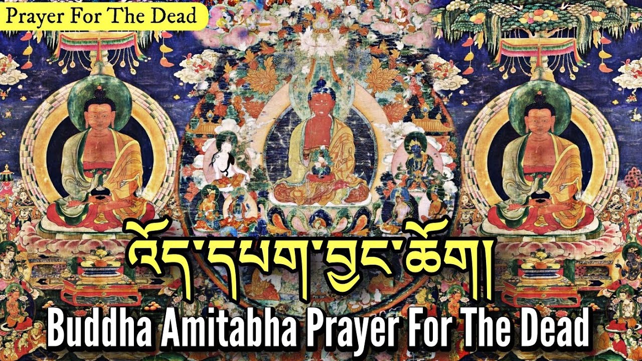 ☸འོད་དཔག་བྱང་ཆོགBuddha Amitabha JangchokReborn In Sukhavati (Pureland)Buddhist Prayer For Dead