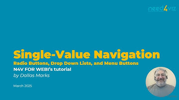 N4V FOR WEBI Short Take SIngle Value Navigation Widgets