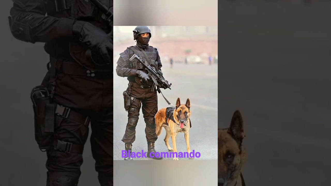 Black Commando status//