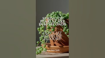 String of Pearls Care in 60 Seconds 🌿 | Don’t Let Yours Die Indoors! #stringofpearlsplant