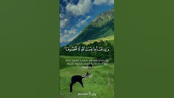 قارئ الخشوع والراحة النفسية | محمد صديق المنشاوي #قرآن #المنشاوي #راحة_نفسية #اكسبلور