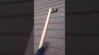 Metal Roof Repair Tips & Tricks (My OG Content 2021) #roofing #homeowner #roof #roofer #construction