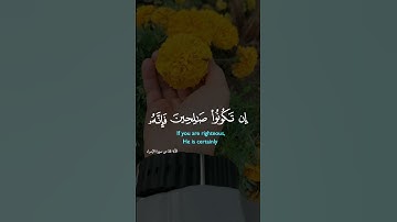 #القرآن الكريم#اكسبلور#تصويري #الجزائرالعظمى#غزة#فلسطين