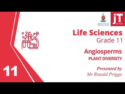 2  Gr 11 - Life Sciences - Plant Diversity - Angiosperms