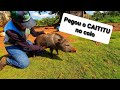 ELA PEGOU O PORCO DO MATO E FEZ ELE DEITAR ¨CAITITU¨