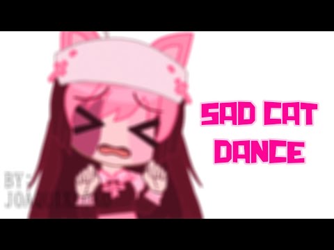 Stream SAD CAT DANCE [meme] by watchdoqq