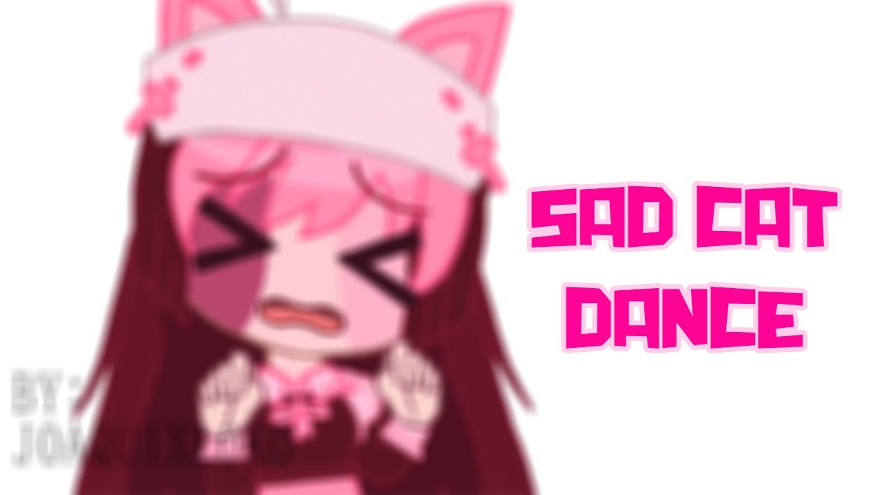 FNF SAD CAT DANCE 