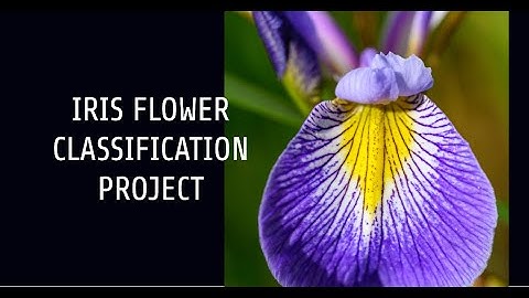 Iris Flower Classification Project