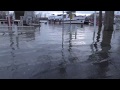 Hochwasser Rhein 7.1.2018