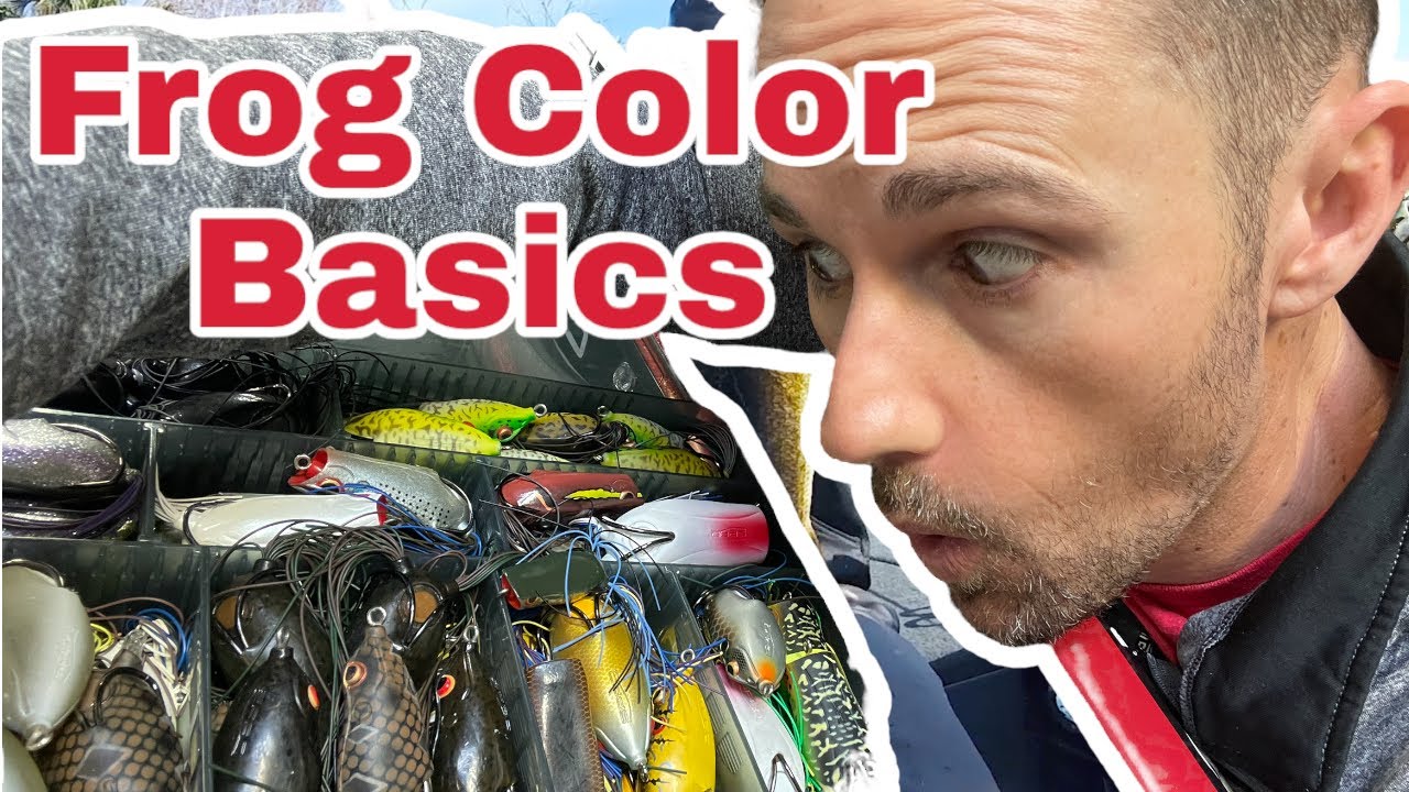 Frog Color Basics For Bass - YouTube