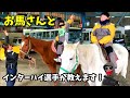 桶川中学校 乗馬体験