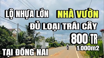 Chú tấn kẹt tiền bán gấp, nhà vườn lộ nhựa đủ loại trái cây, Cẩm Mỹ, đồng Nai