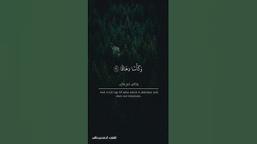 النبأ (٣١-٣٦) - القارئ: أحمد بن طالب