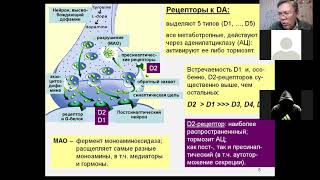 Дубынин МФК весна 2021 Химия мозга 7 дофамин