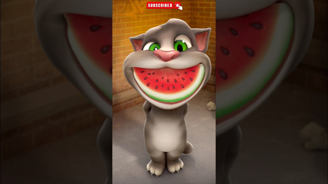 Talking Tom Cat 